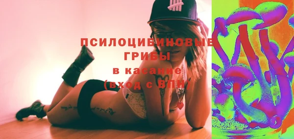 МДПВ Бородино