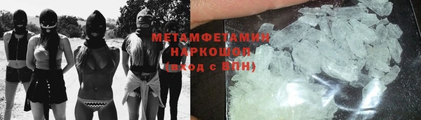 сатива Новосибирск