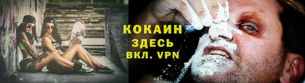 сатива Новосибирск