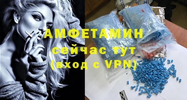 МДПВ Бородино
