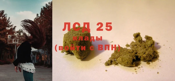 МДПВ Бородино
