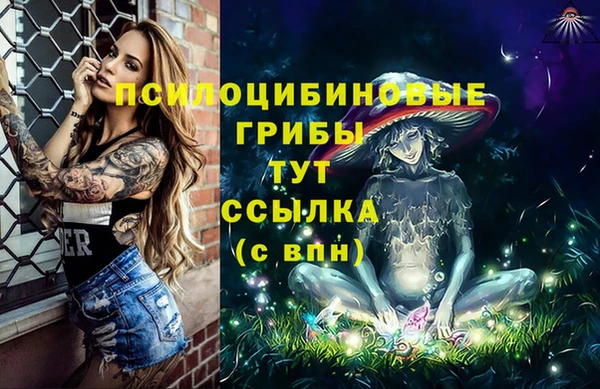 винт Бронницы