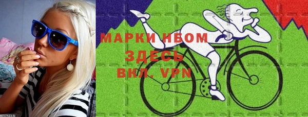 МДПВ Бородино