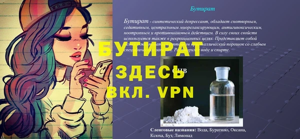 МДПВ Бородино